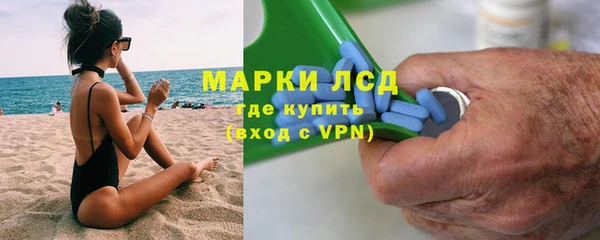ПСИЛОЦИБИНОВЫЕ ГРИБЫ Арсеньев