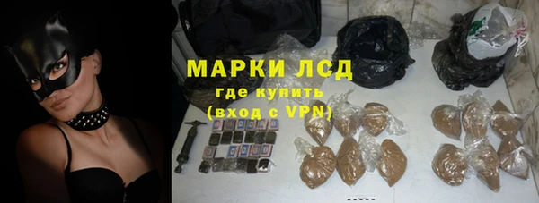 ПСИЛОЦИБИНОВЫЕ ГРИБЫ Арсеньев