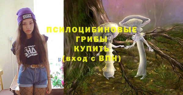 МДПВ Армянск