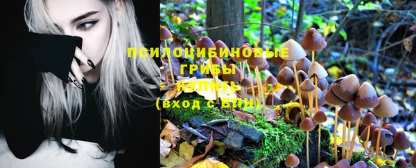 ПСИЛОЦИБИНОВЫЕ ГРИБЫ Арсеньев