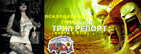 МДПВ Армянск