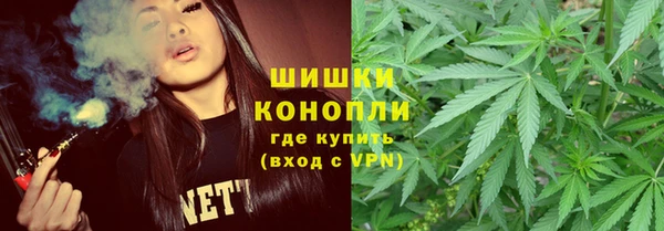 ПСИЛОЦИБИНОВЫЕ ГРИБЫ Аркадак