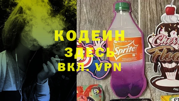 ПСИЛОЦИБИНОВЫЕ ГРИБЫ Арсеньев