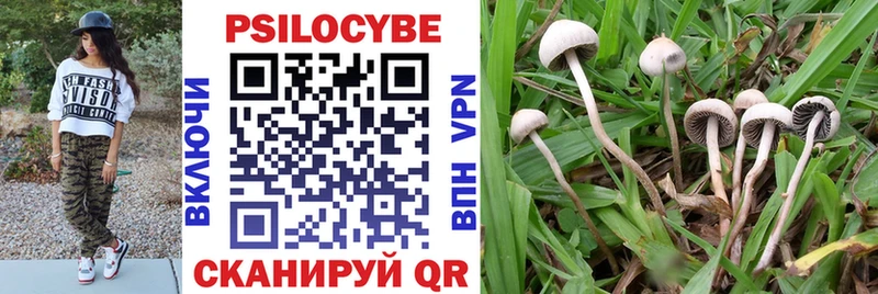Галлюциногенные грибы мухоморы  Кондрово 