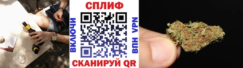 Шишки марихуана семена  Кондрово 